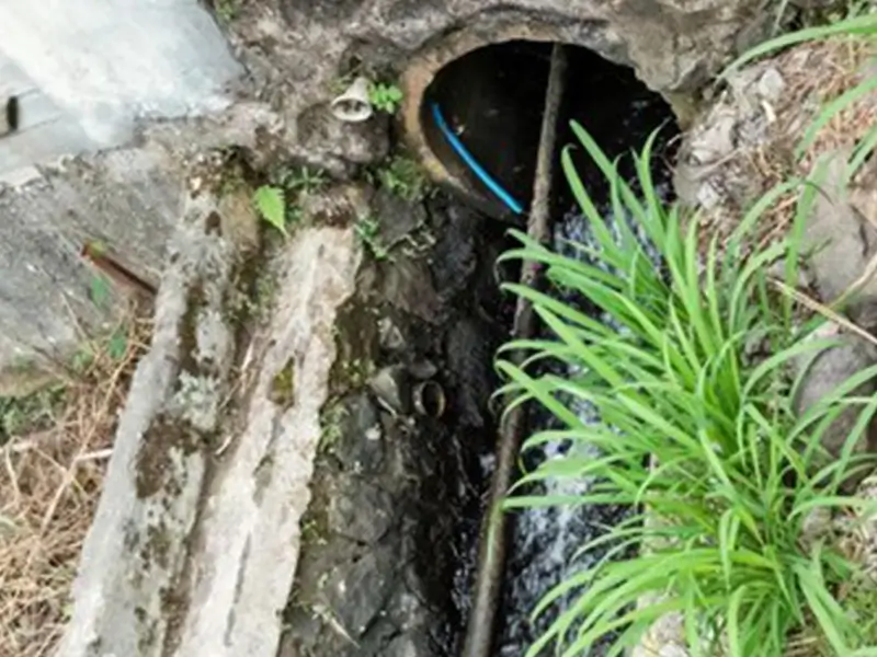 Disostruzioni con Trivellino vercelli urgente